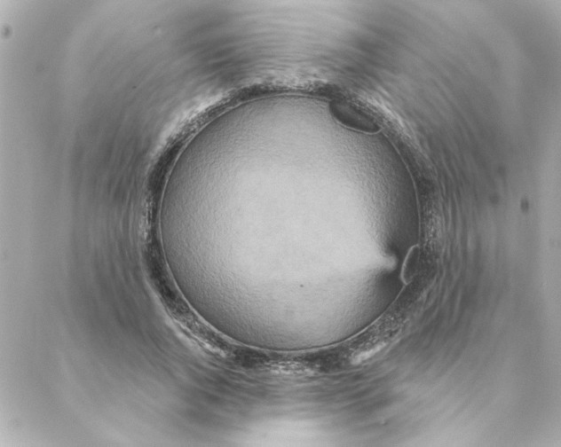 X0000088180736200706051141