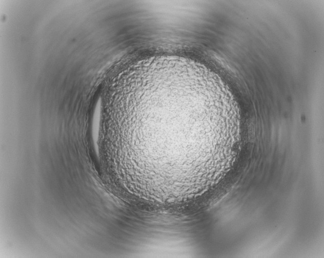 X0000088180737200706051141