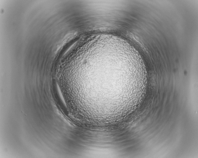 X0000088180738200706051141