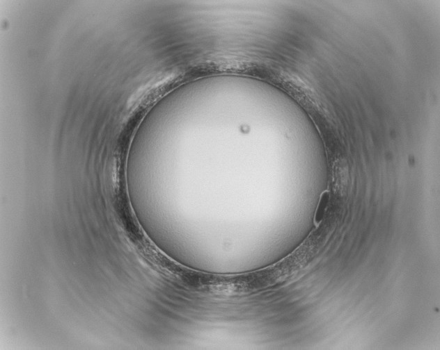 X0000088180740200706051141