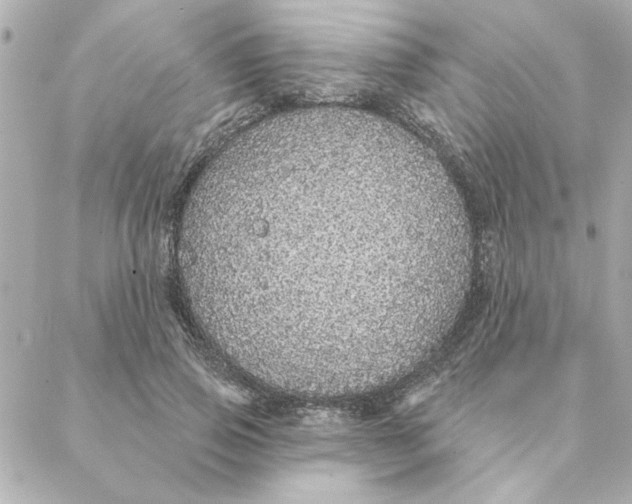 X0000088180741200706051141