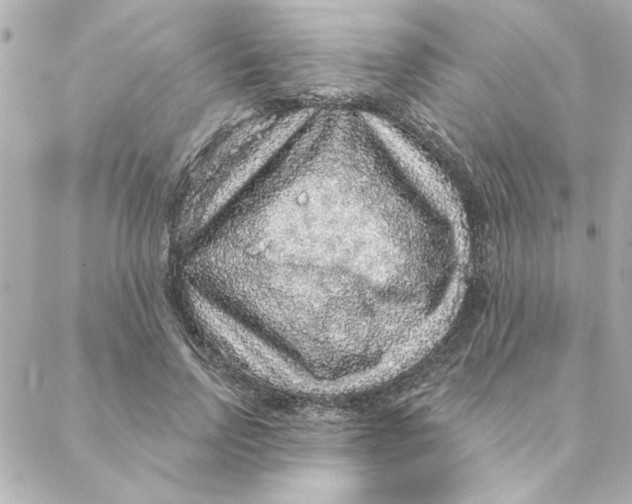 X0000088180742200706051141