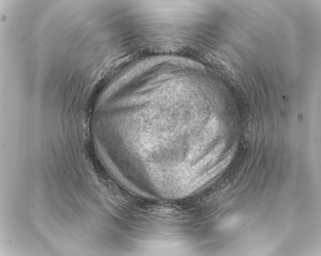 X0000088180743200706051141