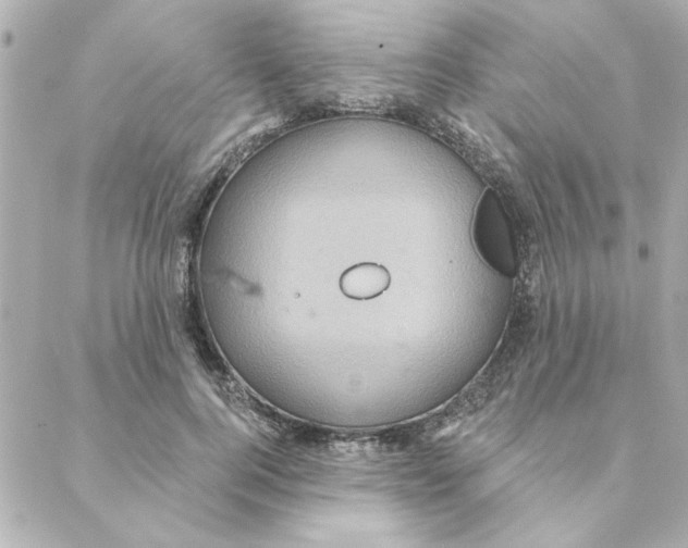 X0000088180744200706051141