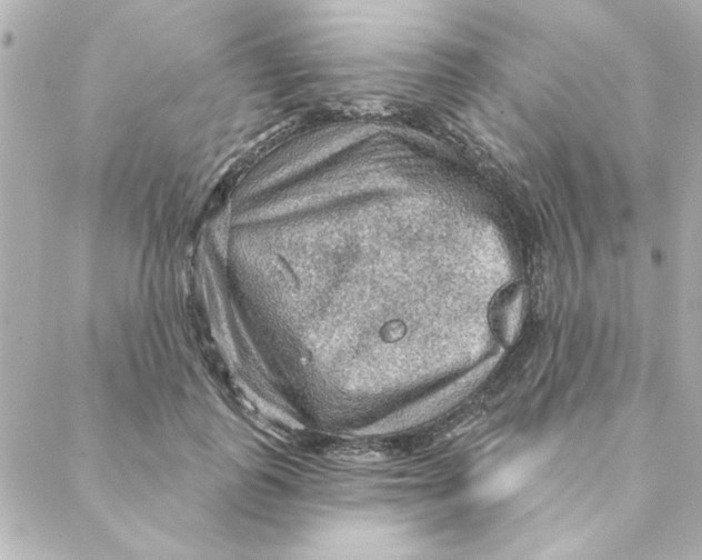 X0000088180747200706051141