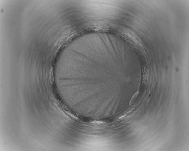 X0000088180748200706051141