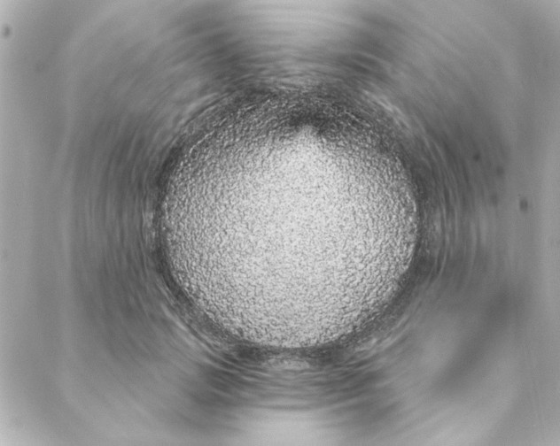 X0000088180749200706051141