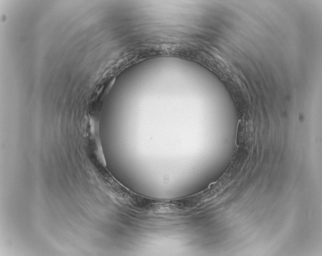 X0000088180750200706051141