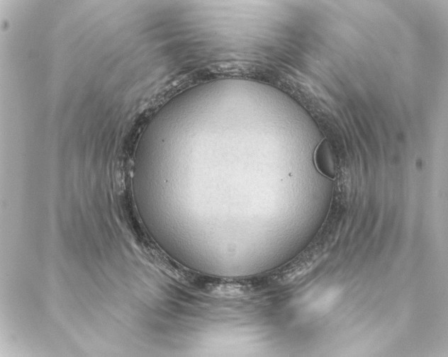 X0000088180751200706051141