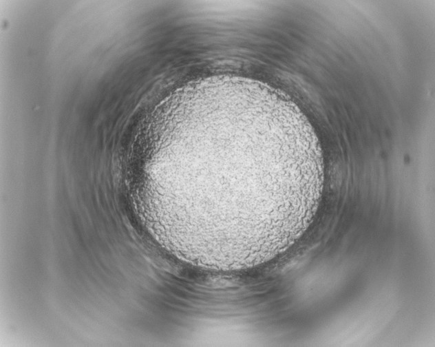 X0000088180753200706051141