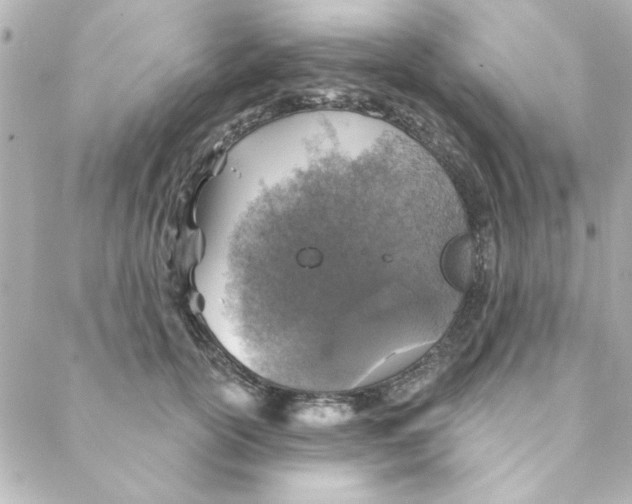 X0000088180754200706051141