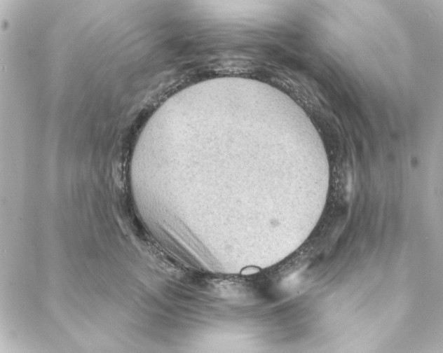 X0000088180755200706051141