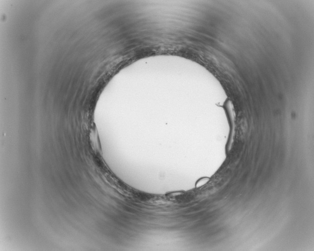 X0000088180756200706051141