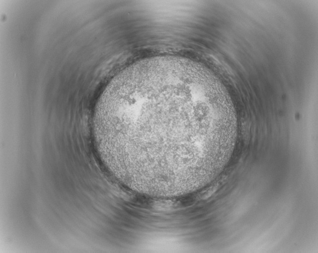 X0000088180757200706051141