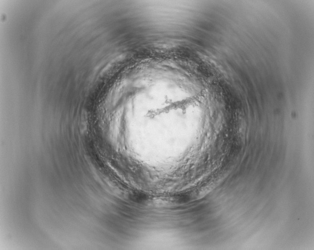 X0000088180758200706051141