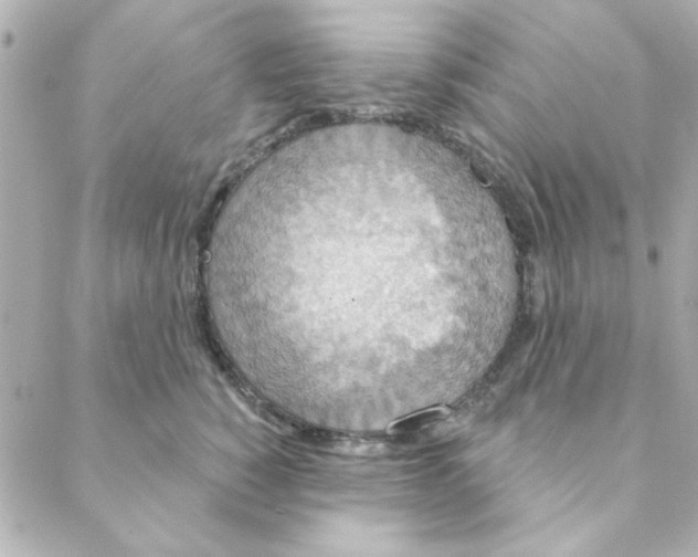 X0000088180760200706051141