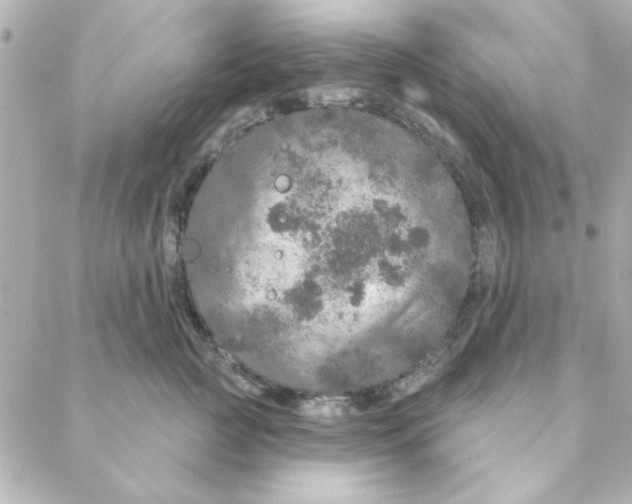 X0000088180761200706051141