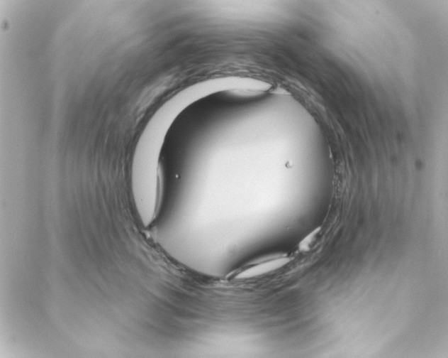 X0000088180762200706051141