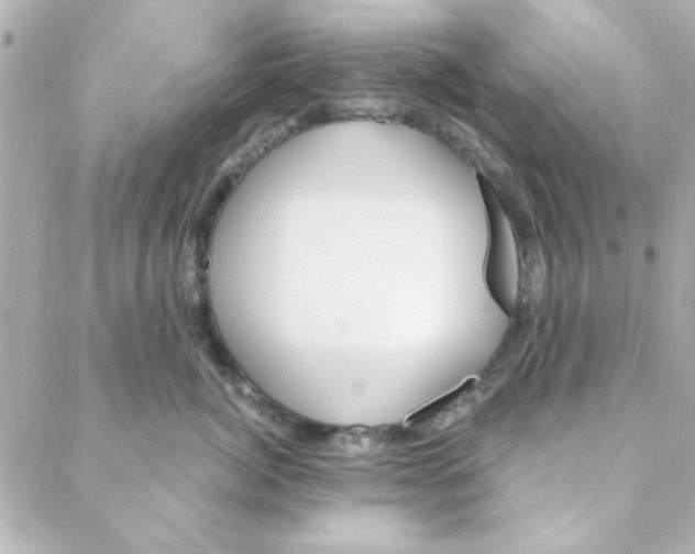 X0000088180764200706051141