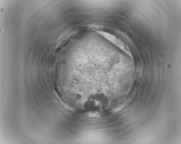 X0000088180765200706051141