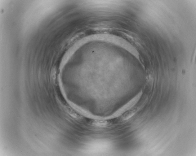 X0000088180767200706051141