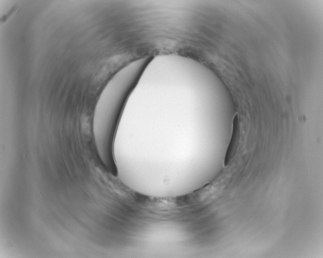 X0000088180768200706051141