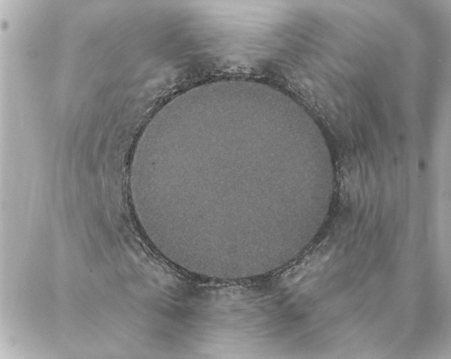 X0000088180769200706051141