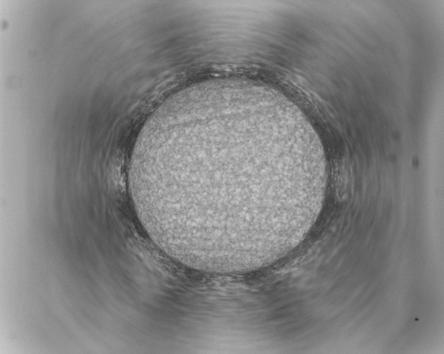 X0000088180770200706051141