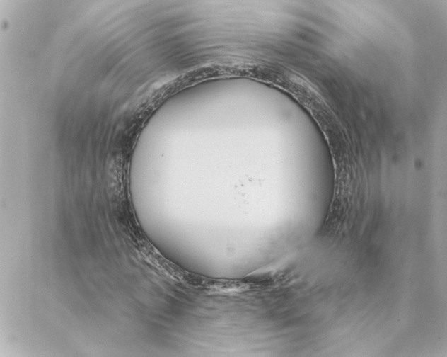 X0000088180773200706051141