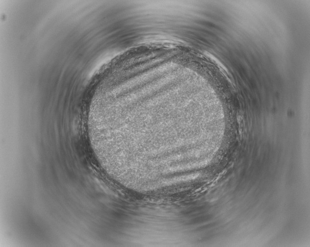 X0000088180775200706051141