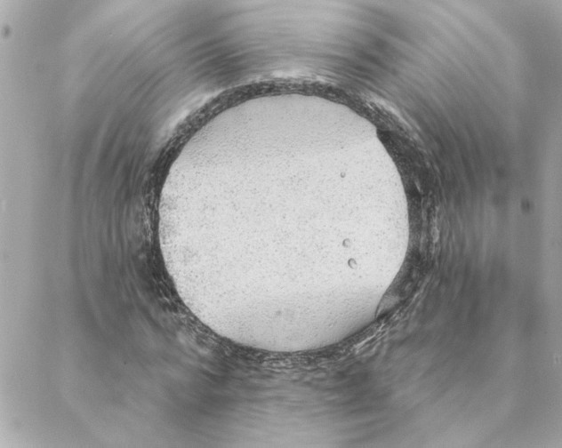 X0000088180776200706051141