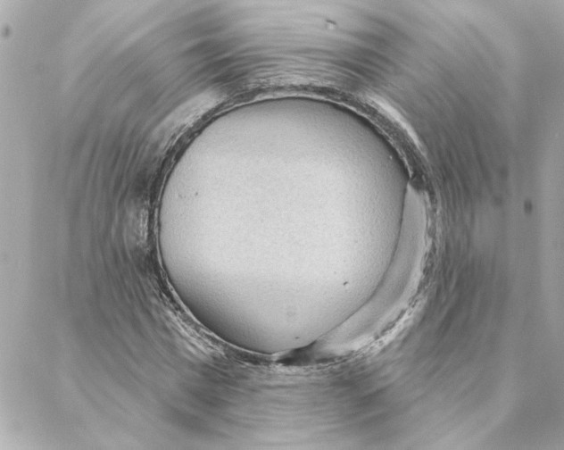 X0000088180777200706051140