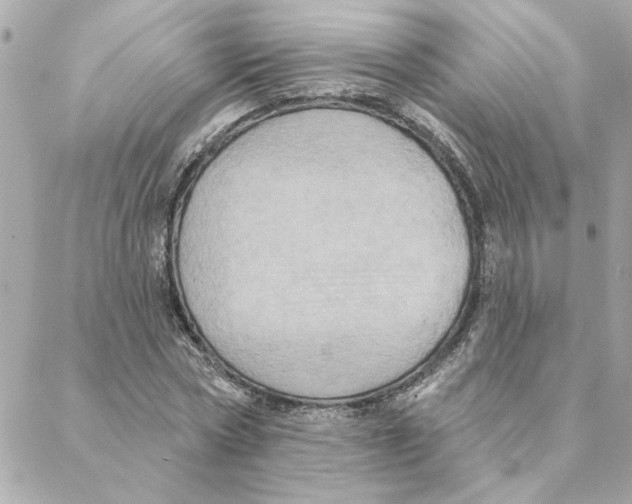 X0000088180778200706051140