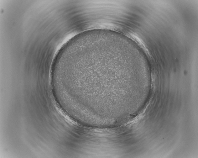 X0000088180780200706051140