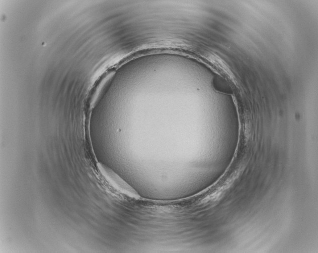 X0000088180781200706051140