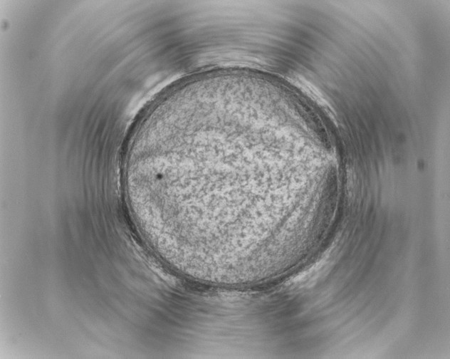 X0000088180782200706051140