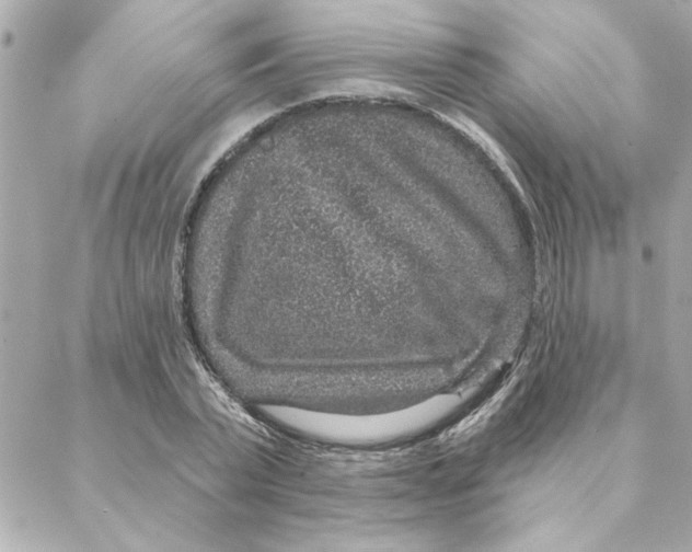 X0000088180783200706051140