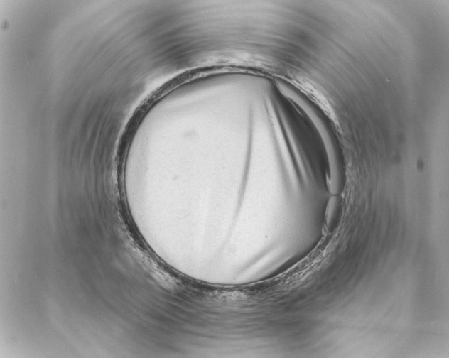 X0000088180784200706051140