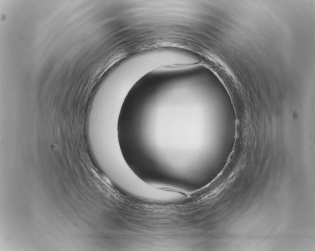 X0000088180785200706051140