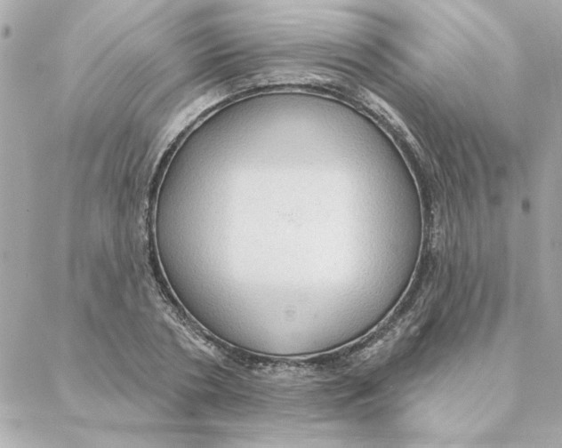 X0000088180786200706051140