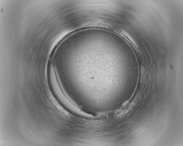 X0000088180788200706051140