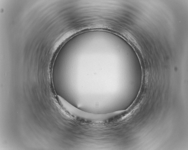 X0000088180789200706051140