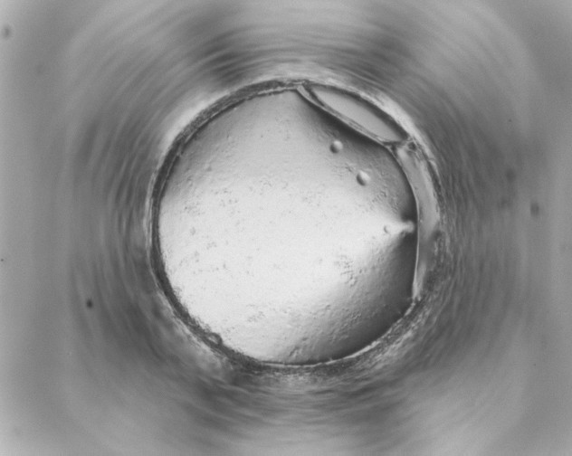 X0000088180791200706051140