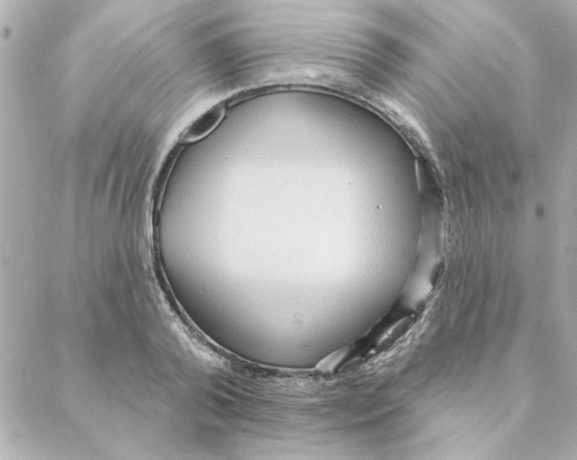 X0000088180792200706051140