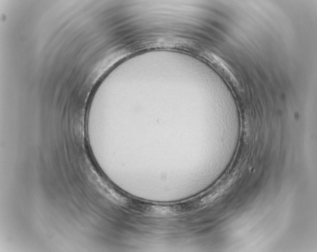 X0000088180794200706051140