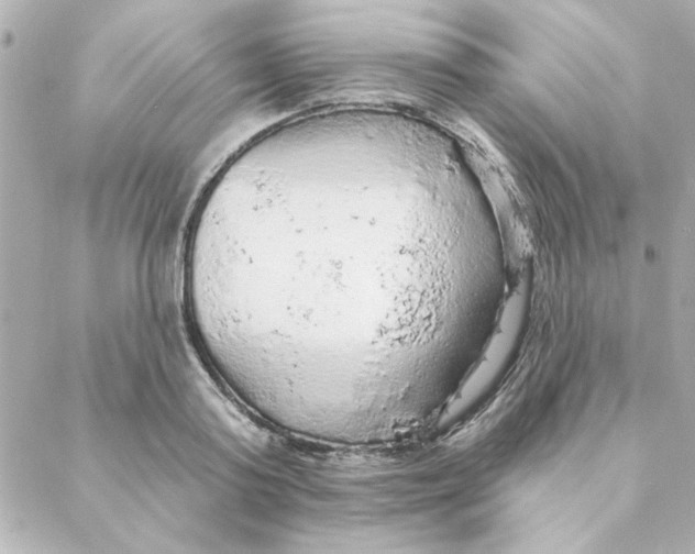 X0000088180795200706051140