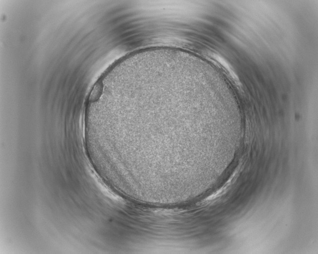 X0000088180796200706051140