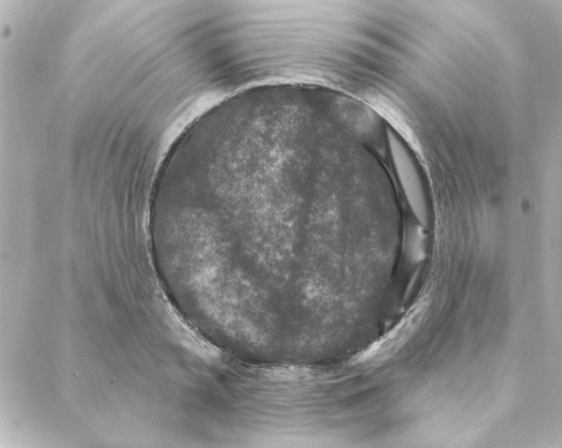 X0000088180797200706051140