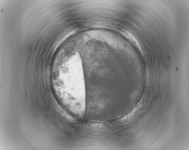 X0000088180798200706051140