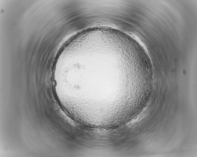 X0000088180799200706051140